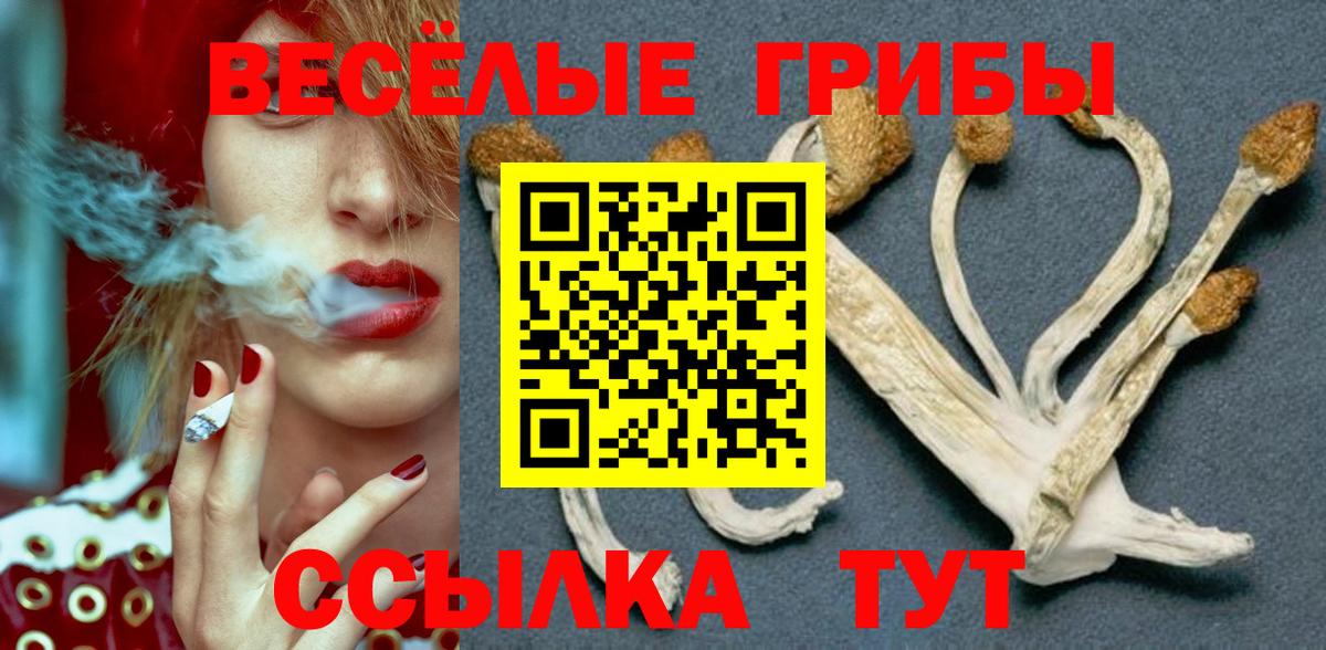 Орехово-Зуево  Галлюциногенные грибы Psilocybine cubensis  Вход с VPN  Галлюциногенные грибы Psilocybine cubensis 